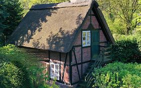 Ferienhaus unter Reet im Heidedorf Sankt Dionys bei Lüneburg